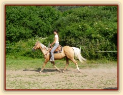 Jacs při ježdění na jízdárně - klus