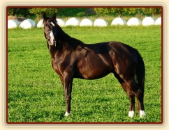 Léto 2009, Grant na volno na vyjížďce