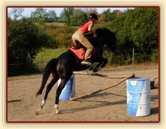 Podzim 2009, skákání skokové řady pod sedlem