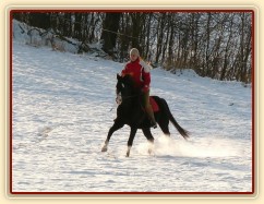 Zima 2010, na vyjížďce