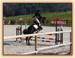 Duben 2010, ZM v Opřeticích