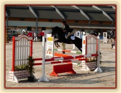 Duben 2010, Grant a první kolo ČŠMK