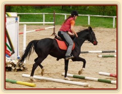 Květen 2010, trénink na kolbišti ve Všeticích