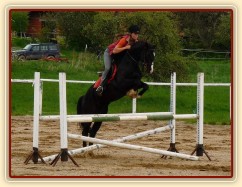 Květen 2010, trénink na kolbišti ve Všeticích, spočátku Grant chodil hodně blízko ke skokům
