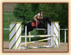 Červen 2010, trénink na kolbišti ve Všeticích