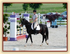 Červen 2010, ČŠMK na Ptýrově, v kolbišti