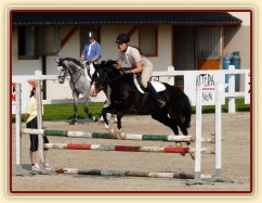 Červen 2010, ČŠMK na Ptýrově, opracování