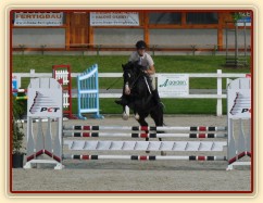 Červen 2010, ČŠMK na Ptýrově, zahajovací parkur