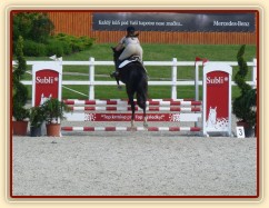 Červen 2010, ČŠMK na Ptýrově, zahajovací parkur