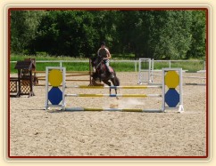 Červen 2010, trénink na kolbišti ve Všeticích, trénujeme skoky 110cm