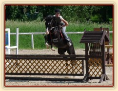 Červen 2010, trénink na kolbišti ve Všeticích, trénujeme skoky 110cm