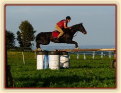 Srpen 2010, skákání na jízdárně v Čeleticích, skoky 115cm vysoké