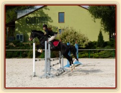 Září 2010, finále ČŠMK, opracoviště