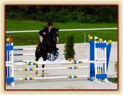 Září 2010, finále ČŠMK, parkur stupně ZL