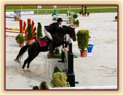 Září 2010, finále ČŠMK, parkur stupně ZL