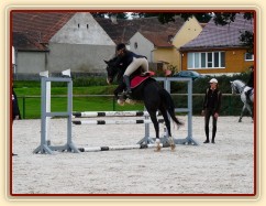 Září 2010, finále ČŠMK, opracoviště