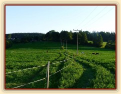 Tak to u nás vypadalo v červenci 2010, krátce po přistěhování