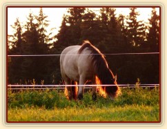 Červenec 2010, Galen při západu slunce