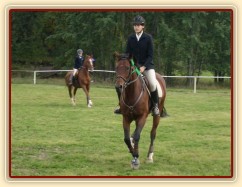 Dekorování parkuru ZL