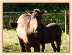 Srpen 2010, Ascara a Gimli