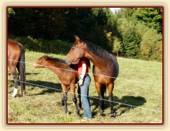 Srpen 2010, Ascara a Chuezca, drbání je labuž:-)
