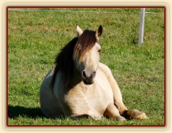 Říjen 2010, Galen odpočívá