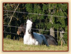 Říjen 2010, Divík a Monty odpočívají