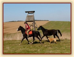 Jaro 2010, Carthago jde na laně za Grantem na vyjížďku