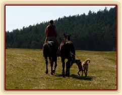 Jaro 2010, Carthago jde na laně za Grantem na vyjížďku