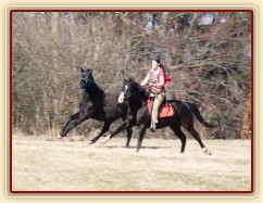 Jaro 2010, Carthago závodí s Grantem na vyjížďce