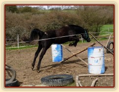 Jaro 2010, skákání skokové řady ve volnosti