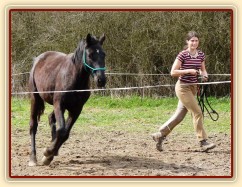 Jaro 2010, vypouštění do skokové řady