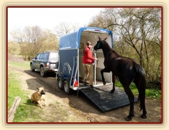 Květen 2010, naložení do našeho nového přívěsu