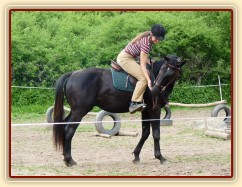 Červen 2010, jízdárna, odměna