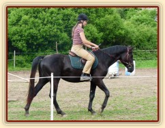 Červen 2010, jízdárna, krok