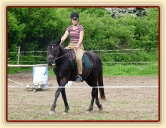 Červen 2010, jízdárna, krok