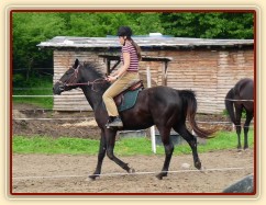 Červen 2010, jízdárna, klus