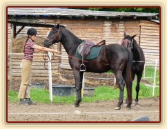 Červen 2010, jízdárna, nutná výchova u klisny