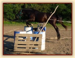 Červen 2010, skákání ve volnosti