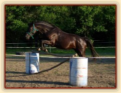 Červen 2010, skákání ve volnosti