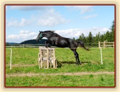 Srpen 2010, skákání těžších skokových řad ve volnosti