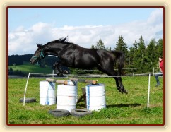 Srpen 2010, skákání těžších skokových řad ve volnosti