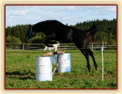 Srpen 2010, skákání těžších skokových řad ve volnosti