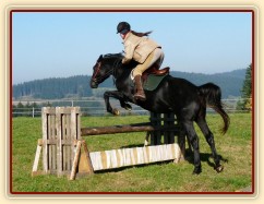 Říjen 2010, skákání parkuru