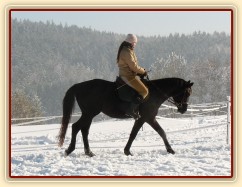 Únor 2011, práce na jízdárně, krok