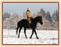 Únor 2011, práce na jízdárně, přechod do zastavení