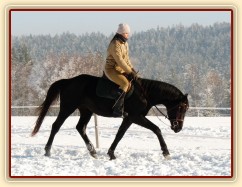 Únor 2011, práce na jízdárně, vytažení dolů v klusu