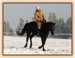 Únor 2011, práce na jízdárně, cval na kruhu