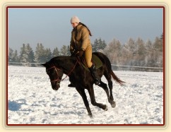 Únor 2011, práce na jízdárně, cval na kruhu