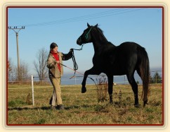 Říjen 2010, nácvik španělského kroku. Foto Olga Procházková